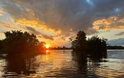 What Is Lake Anna? A Quick Guide to Virginia’s Favorite Vacation Lake